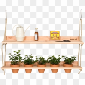 Shelf, HD Png Download - wall hanging plants png