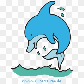 Clipart Cartoons Kostenlos - Delfin Clipart, HD Png Download - png images of cartoons