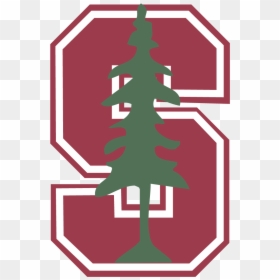 Stanford Logo Vector - Transparent Stanford University Logo, HD Png Download - tree images in png format