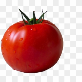 Tomato Transparent Png, Png Download - tomato.png