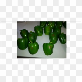 Green Bell Pepper, HD Png Download - green capsicum png