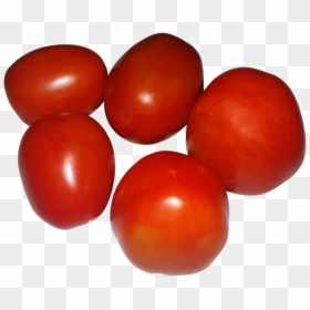 Plum Tomato, HD Png Download - tomato.png