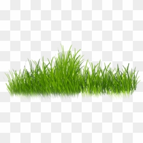 Clip Art Grass For Photoshop - Grass Stickers For Editing, HD Png Download - png images of grass