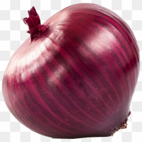 Red Onion, HD Png Download - onion clipart png