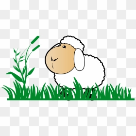 Grass, Sheep, Stand, Watch, Cartoon, Green, White - Clipart Sheep Png, Transparent Png - cartoon grass and flowers png