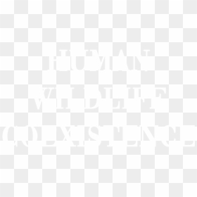 Dont Blame The Victim, HD Png Download - human images png