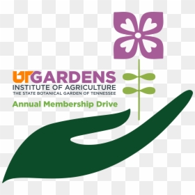 Ut Gardens Membership Drive Logo - Ut Gardens, HD Png Download - ut logo png