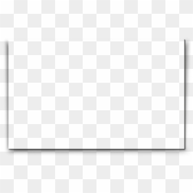 White Frame With Shadow Png, Transparent Png - bald cypress png