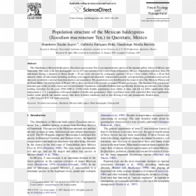 Literature Review Of Centrifugal Pump, HD Png Download - bald cypress png