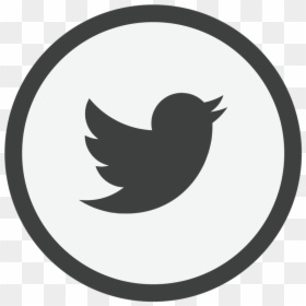 Picture - Animated Twitter Bird Flying Gif, HD Png Download - social media icons png gray