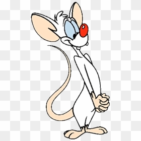 Looney Tunes Wiki - Pinky And The Brain, HD Png Download - pinky and the brain png