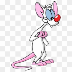 Pinky - Pink And The Brain Pinky, HD Png Download - pinky and the brain png