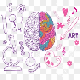 Left And Right Brain Drawing, HD Png Download - pinky and the brain png