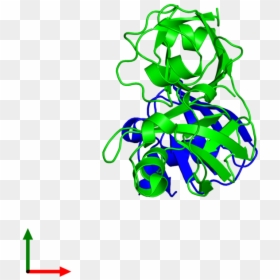 <div Class="caption-body - Graphic Design, HD Png Download - endoplasmic reticulum png