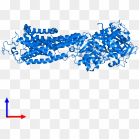 Clip Art, HD Png Download - endoplasmic reticulum png