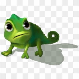 Pascal Transparent Background, HD Png Download - vhv