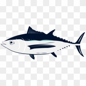 Albacore Fish, HD Png Download - fresh fish png