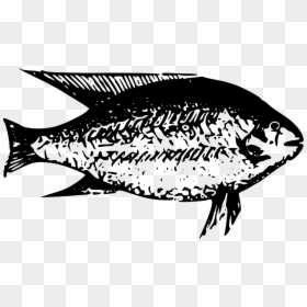 Art,monochrome Photography,seafood - Clip Art Animal On The Lake Black, HD Png Download - fresh fish png