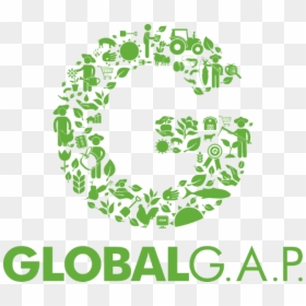 Globalgap Farm Assurance - Global Gap Logo Vector, HD Png Download - gap png