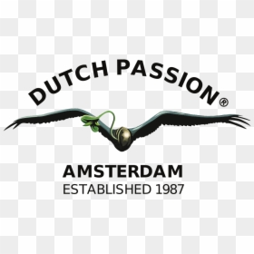 Dutch Passion Seeds Logo, HD Png Download - passion png