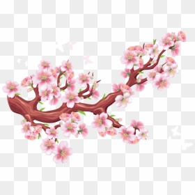 Transparent Cherry Blossom Branch Png - Gambar Bunga Sakura Vector, Png Download - cherry blossom gif png
