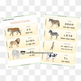 Animal Cards Cover - English Language, HD Png Download - japanese words png