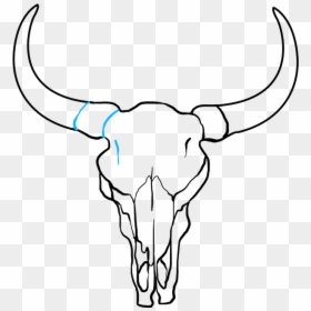 How To Draw Bull Skull - Draw A Bull Skull, HD Png Download - longhorn skull png