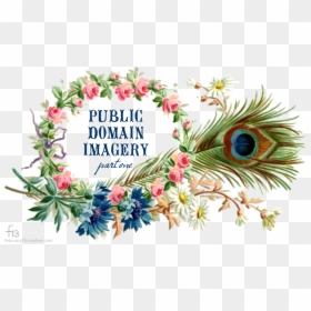Vintage Peacock Feather Frame Graphicsfairy - Public Domain Flower Vintage, HD Png Download - public domain png