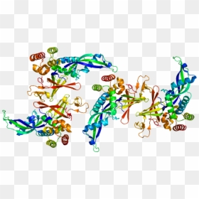 Protein Polr2d Pdb 2c35 - Pol I Subunit D, HD Png Download - rna png