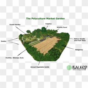 Urban Food Forest Landscape Architecture Plan, HD Png Download - vegetable plants png