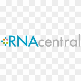 Rna Central, HD Png Download - rna png