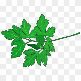 Transparent Perejil Png - Perejil Dibujo Png, Png Download - pizza dibujo png