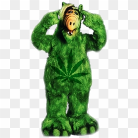 Alf Png, Transparent Png - alfombra roja png