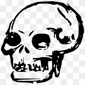 Head, Dead, Skull, Human, Bones, Skulls - Skull Clip Art Png, Transparent Png - human bones png