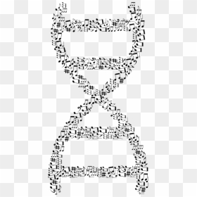 Transparent Dna Clipart Png - Music Notes Dna Svg, Png Download - dna.png