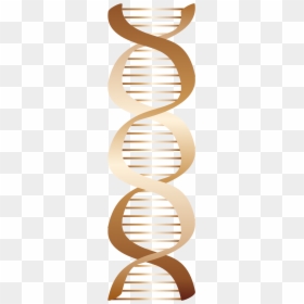 Icon, HD Png Download - dna.png