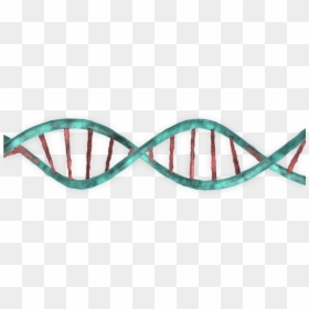 3d Dna Png , Png Download - 인간 과 침팬지 의 유전자 차이, Transparent Png - dna.png