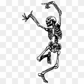 Thumb Image - Dancing Skeleton Gif Transparent, HD Png Download - human bones png