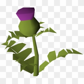 Clip Art, HD Png Download - plant .png