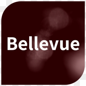 Bellevue - Graphic Design, HD Png Download - review us on google png
