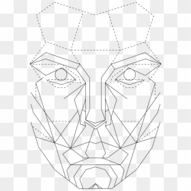 The Golden Ratio In Graphic - Golden Ratio Face Template Female, HD Png Download - the golden ratio png