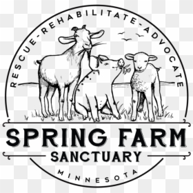 Sign Up Now To Stay Up To Date With Spring Farm Sanctuary, HD Png Download - sign up now png