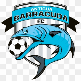 Clip Art Barracuda Art - Antigua Barracuda, HD Png Download - barracuda png