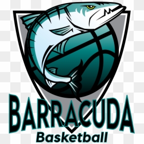 Barracuda Basketball Logo Clipart , Png Download - Barracuda Basketball Player, Transparent Png - barracuda png