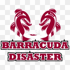 Graphic Design, HD Png Download - barracuda png