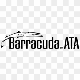 Barracuda Vector, HD Png Download - barracuda png