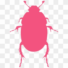 Red Beetle Silhouette, HD Png Download - scarab png