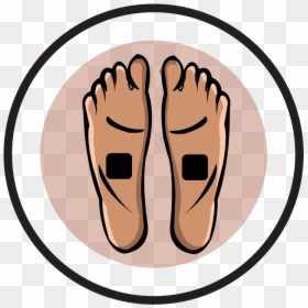 Electrode Pad Placement By Condition Muscle Group - Toe, HD Png Download - nerve png
