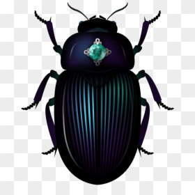 Dung Beetle, HD Png Download - scarab png