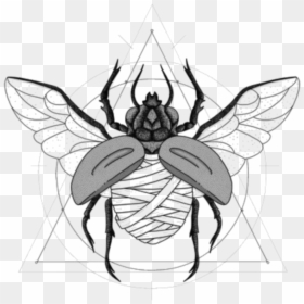 #scarab #beetle #egyptian #mummy - Illustration, HD Png Download - scarab png